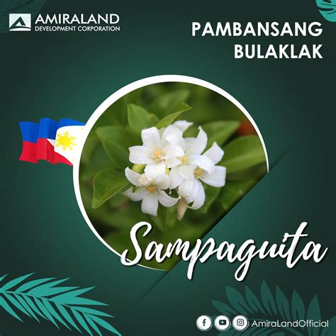 bulaklak drawing|Bulaklak ng Pilipinas: Celebrating the National Flower and Unique .